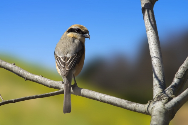 加古川市 テスト 5LDK